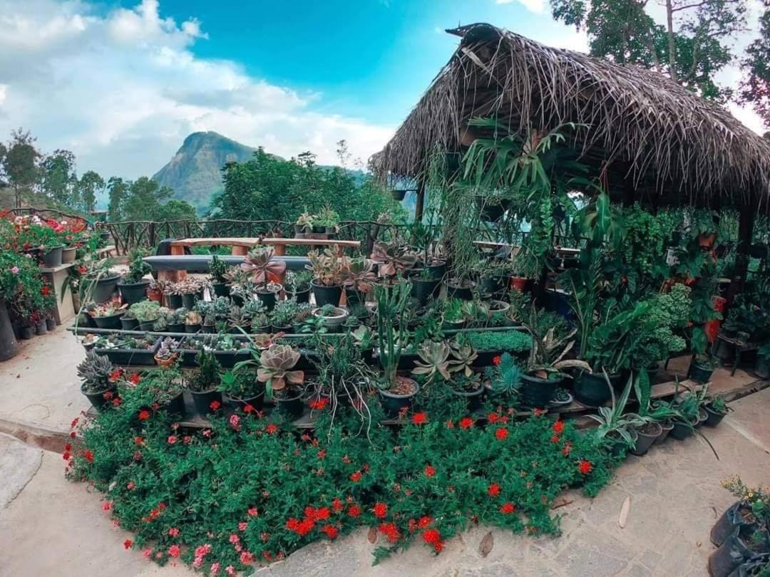 Ella Flower Garden Resort Екстер'єр фото