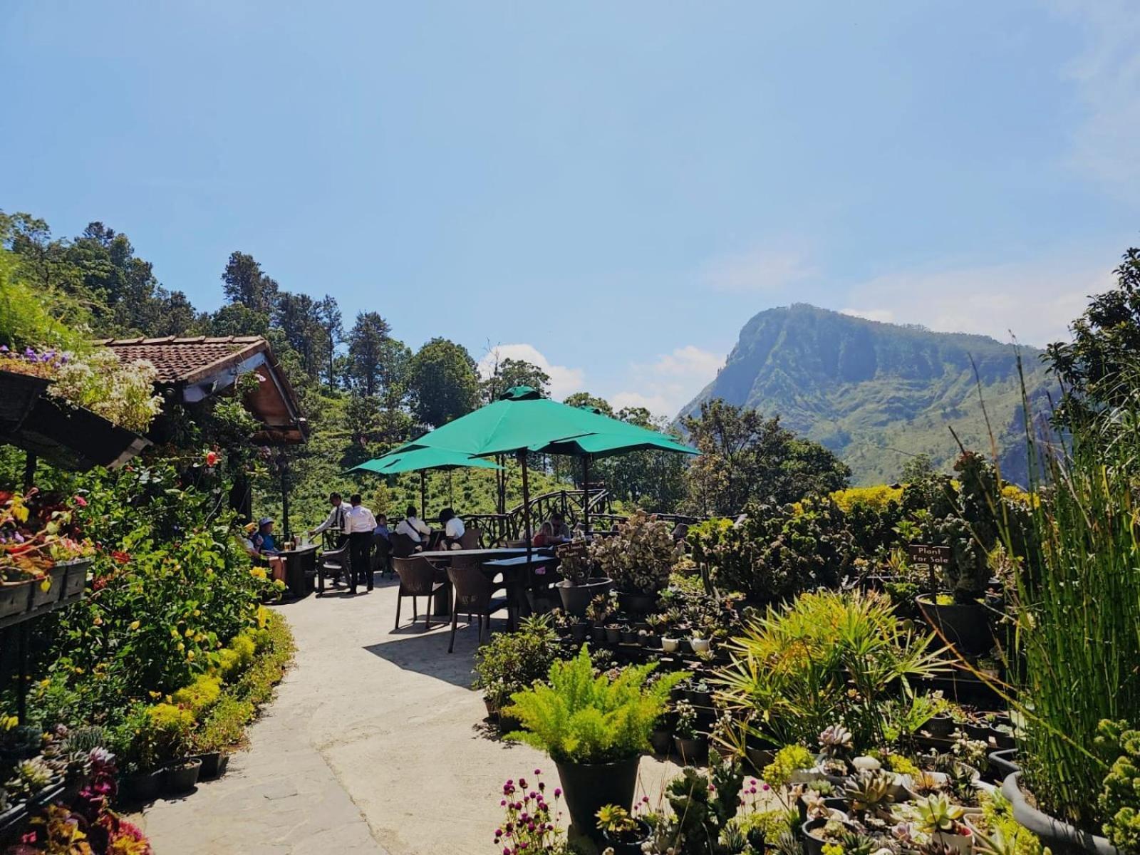 Ella Flower Garden Resort Екстер'єр фото