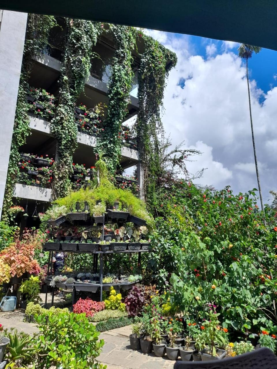 Ella Flower Garden Resort Екстер'єр фото