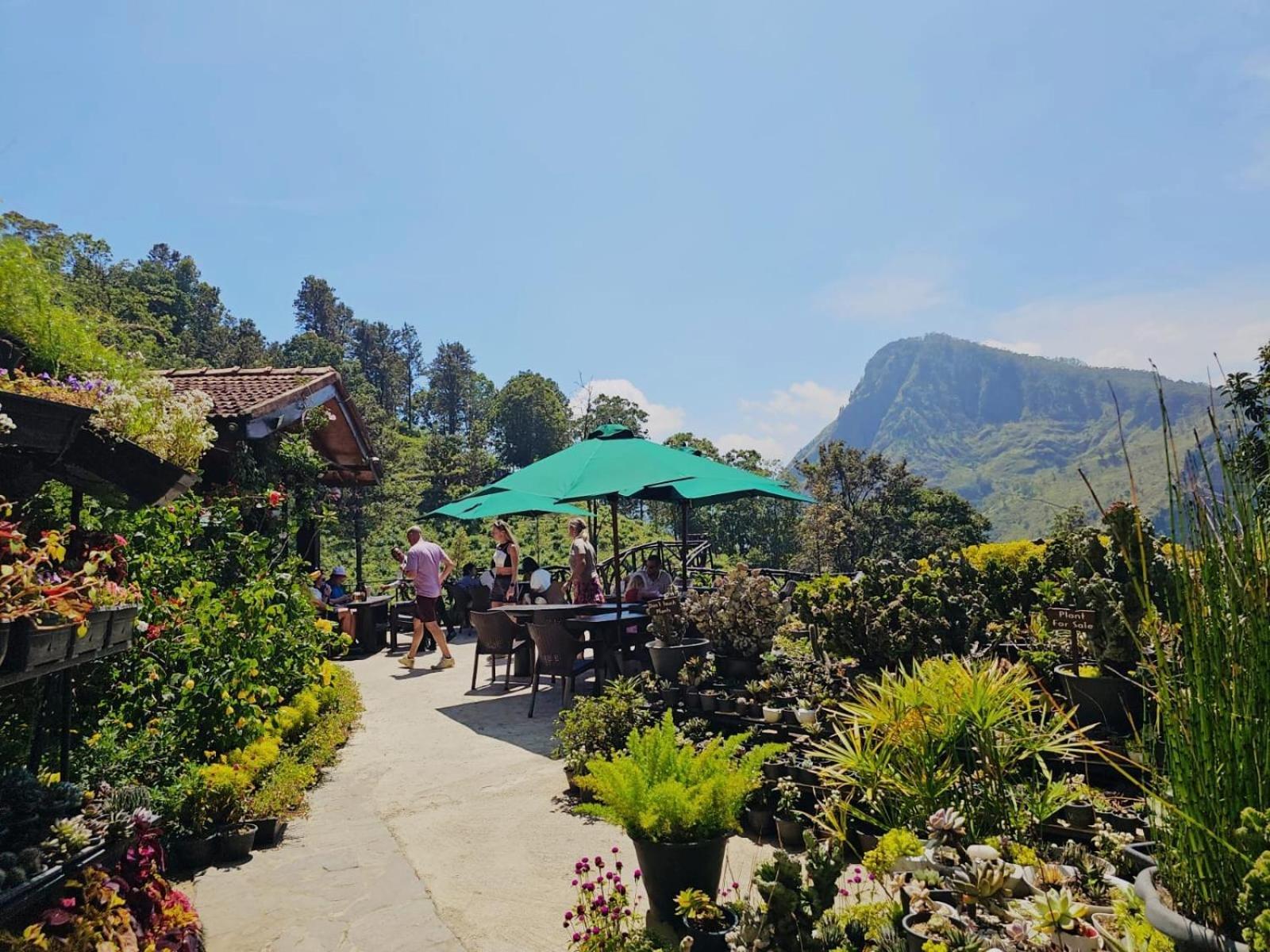 Ella Flower Garden Resort Екстер'єр фото