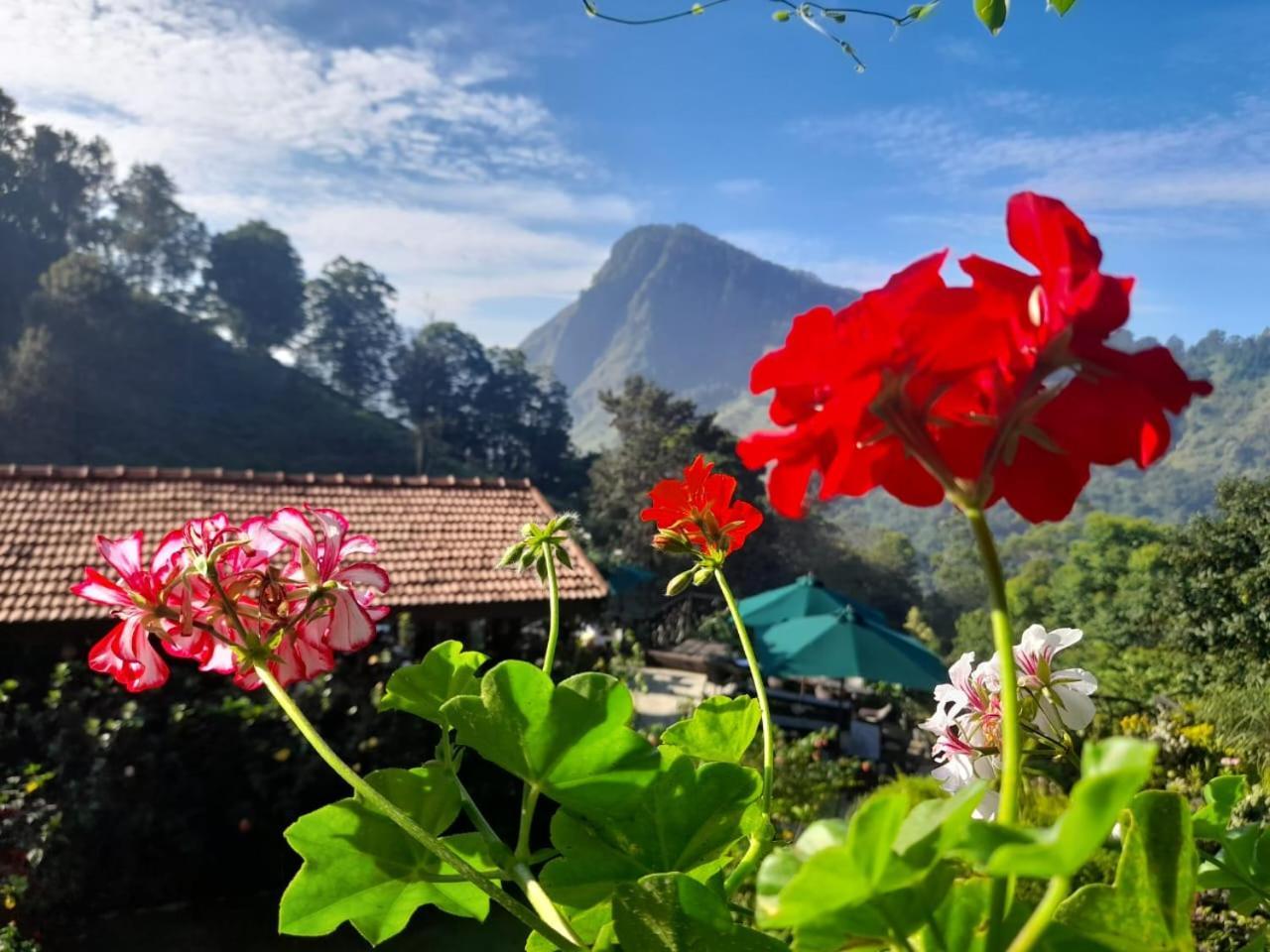 Ella Flower Garden Resort Екстер'єр фото